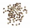 Confezione da 10 pezzi Sw Gemma Tonda conica 4,5 mm Smoky Quartz