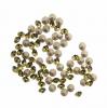 Confezione da 10 pezzi Sw Gemma Tonda conica 4,5 mm Khaki