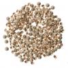 Confezione da 10 pezzi Sw Gemma Tonda conica 4,5 mm Light Peach